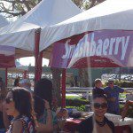 Santa Anita California Wine Festival (12)