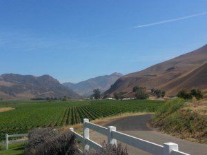 Bien Nacido Vineyards, Santa Maria Valley