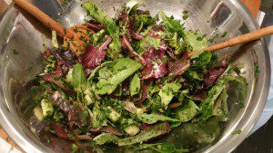 Elana's Favorite Herb Garden Salad