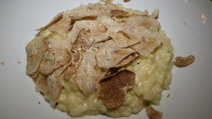 Risotto with fontina cheese and white truffles