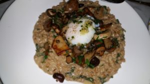 Farro Risotto, poached egg, oyster mushrooms, parmesan